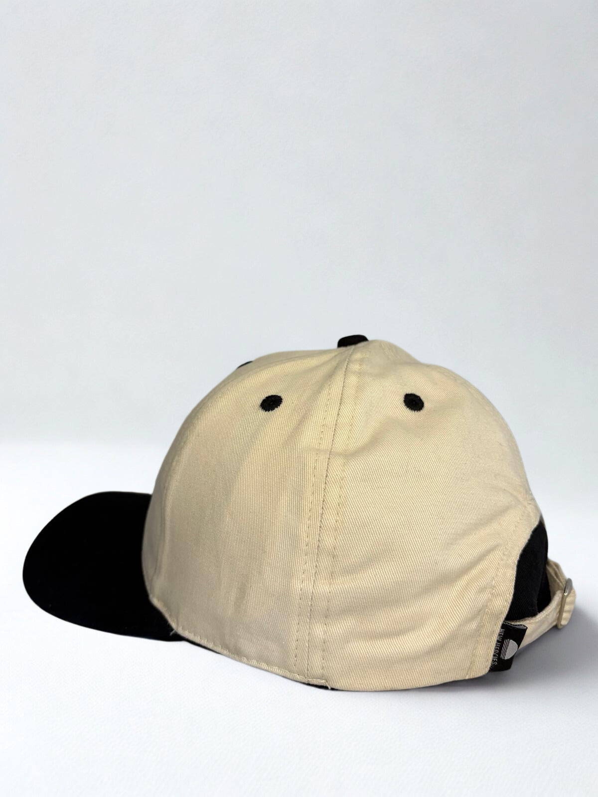 Steadfast Cap (bg)
